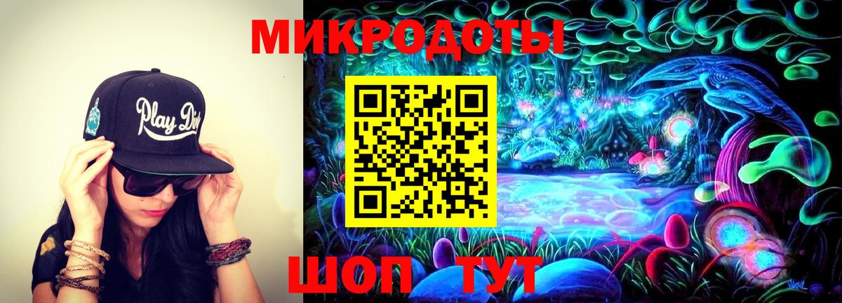 Междуреченск  Галлюциногенные грибы Magic Shrooms  закладки  Вход с VPN 